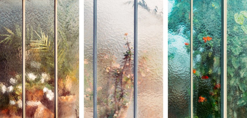 Botanical 1, 2 and 4, 2015 