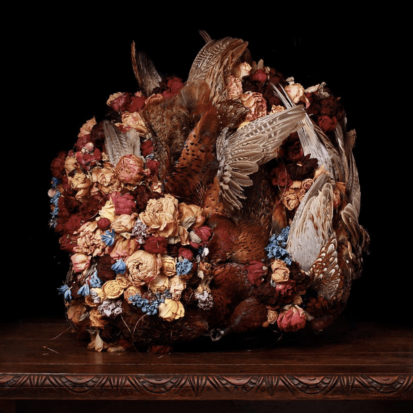 11173370_449814675206684_1165202520317587478_n