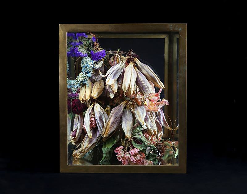 12036634_460569114131240_800611941552701839_n