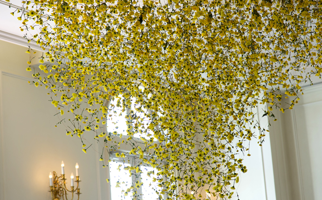 RebeccaLouiseLawWork01