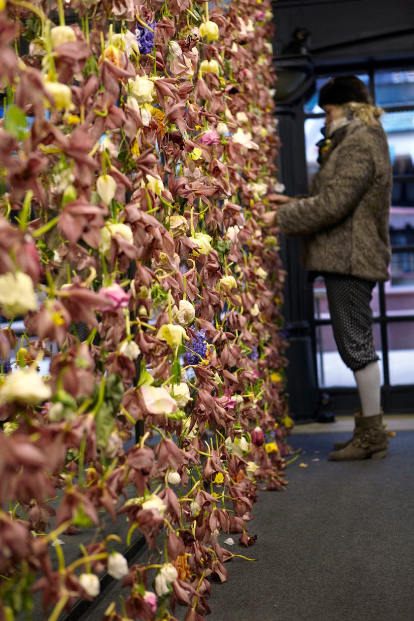 The-Curtain-2011-1-Rachel-Warne