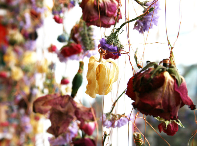 thecross_RebeccaLouiseLaw_zpsa5886698