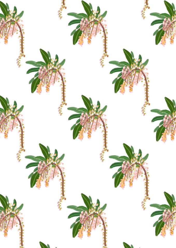 1532009_533035053470405_1156855392_o