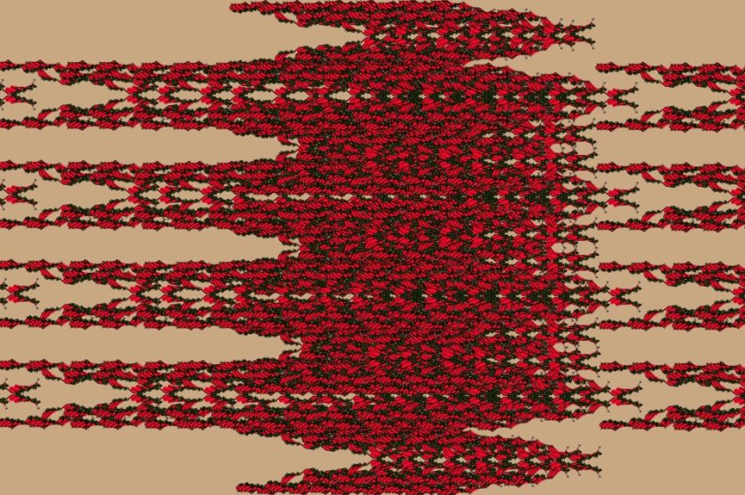 541565_282768281830418_1489323541_n