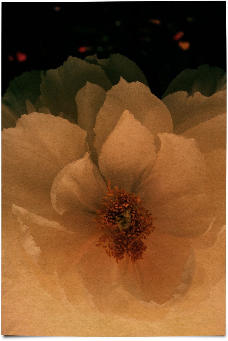 85f067b45091b816dae2a9bdf5d2acde